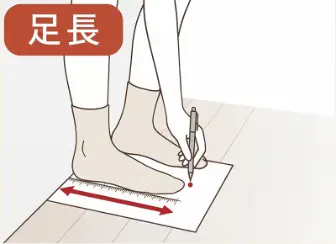 サイズ参考