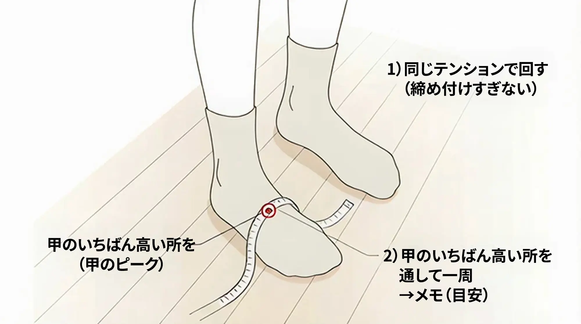 甲周りの測り方
